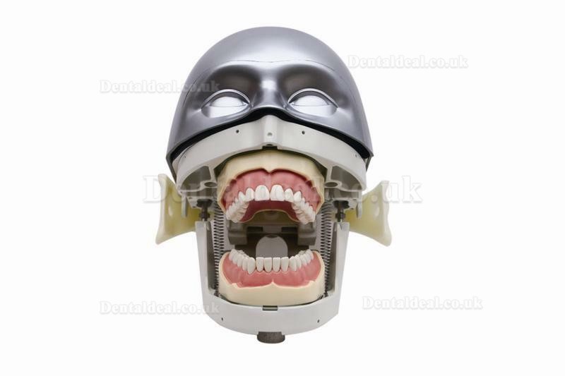 Jingle JG-C4 Dental Surgery Practice Model Head Attach on Dental Chair Type Simulation Phantom Head